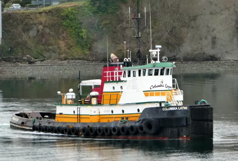 COLUMBIA LAYNE General Cargo IMO 6604810 photo 3