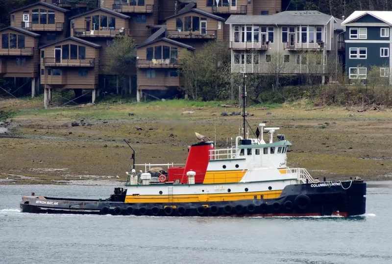 COLUMBIA LAYNE General Cargo IMO 6604810 photo 6