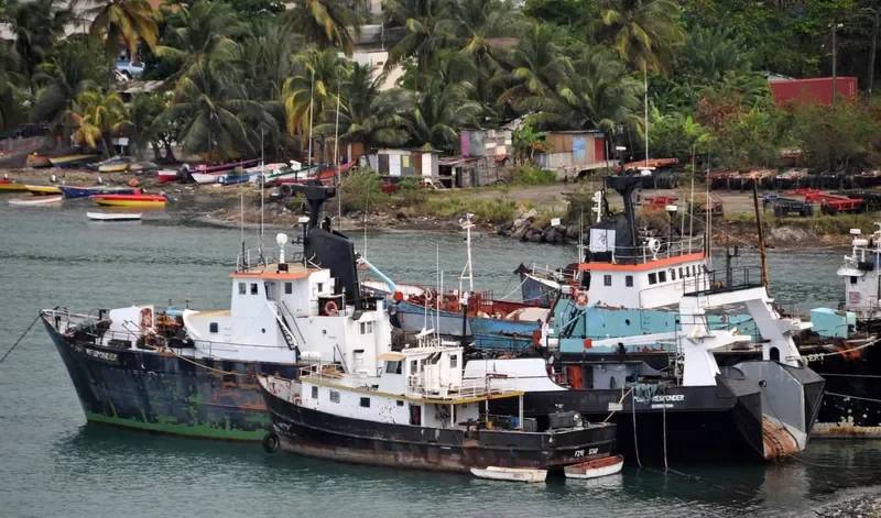 POINT RESPONDER General Cargo IMO 6605125