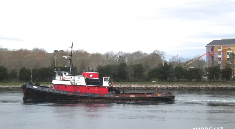 MORGAN General Cargo IMO 6605278 photo 7