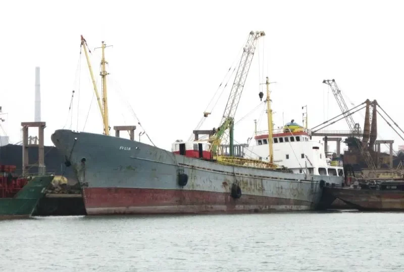 FILIA General Cargo IMO 6605333