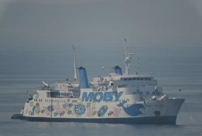 ANEMOS Ro-Ro IMO 6606026