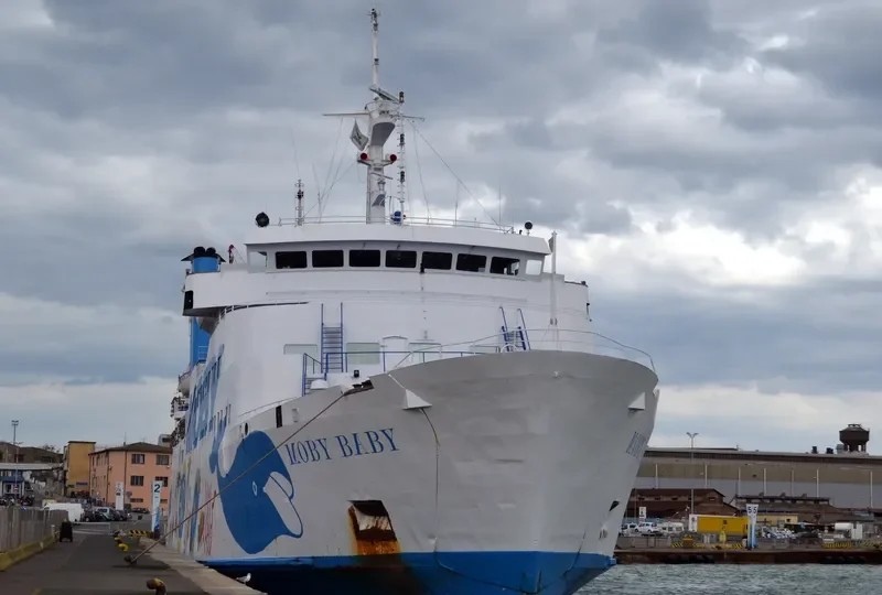 ANEMOS Ro-Ro IMO 6606026 photo 9