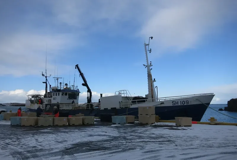 THORSNES General Cargo IMO 6607379 photo 4