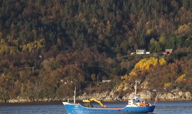 BASEN General Cargo IMO 6608050 photo 10