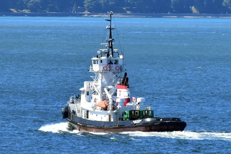 ISLAND MONARCH General Cargo IMO 6608414 photo 7