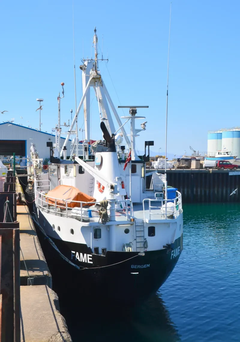 FAME General Cargo IMO 6609901