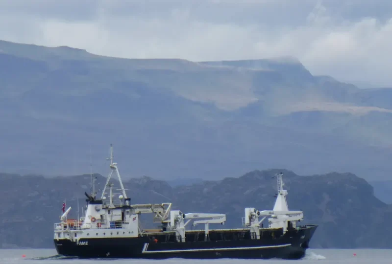 FAME General Cargo IMO 6609901 photo 6