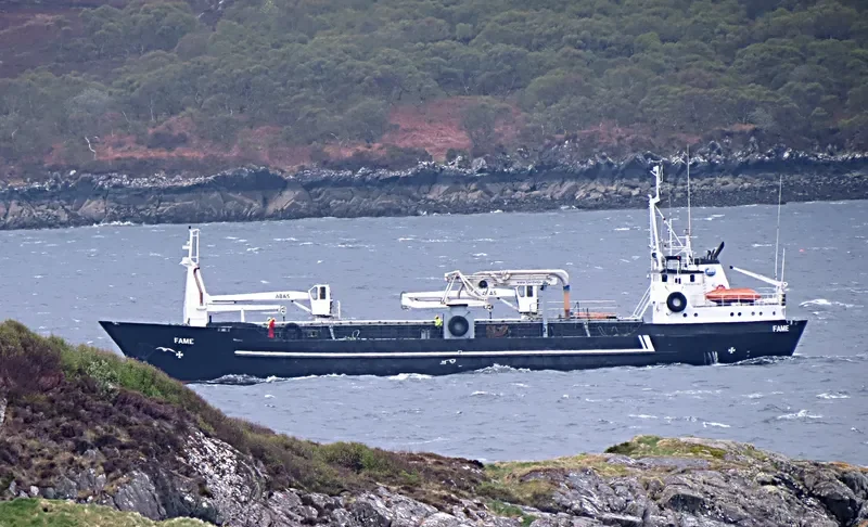 FAME General Cargo IMO 6609901 photo 8