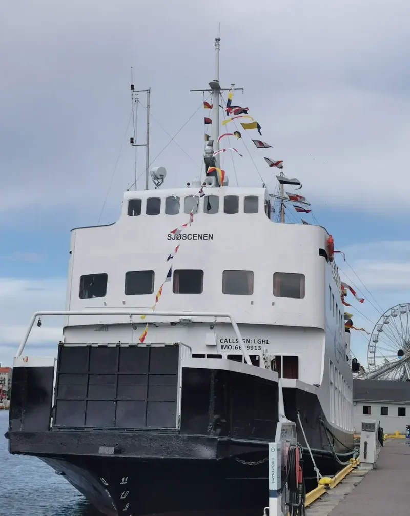SJOSCENEN Passenger Ship IMO 6609913 photo 10