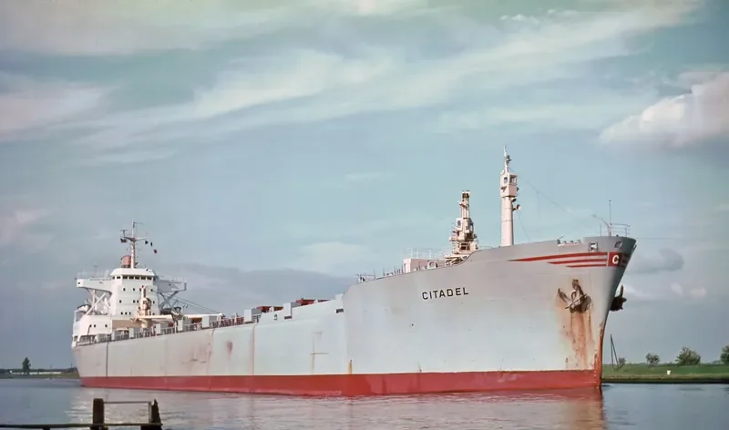 I.VAN Bulk Carrier IMO 6610065