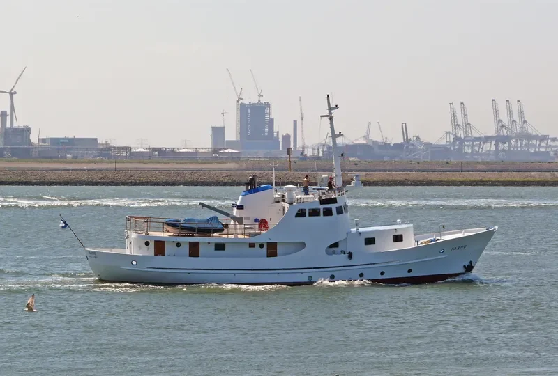 TARMO General Cargo IMO 6610120