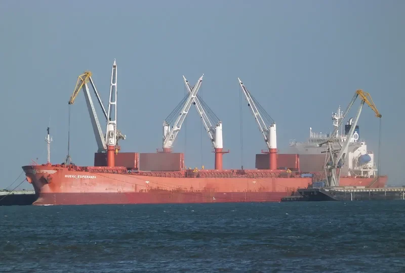 NUEVA ESPERANZA Bulk Carrier IMO 6610209
