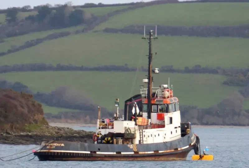 TTMS VIKING General Cargo IMO 6611083