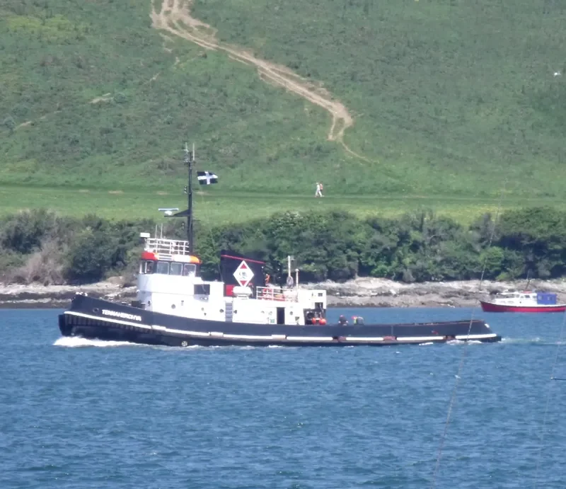 TTMS VIKING General Cargo IMO 6611083 photo 8
