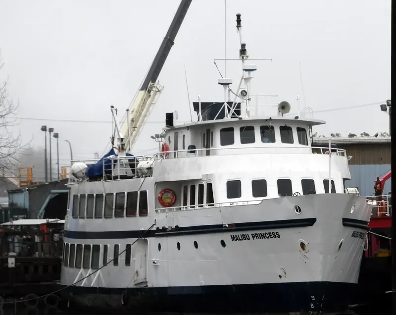 MALIBU PRINCESS Passenger Ship IMO 6611215 photo 10