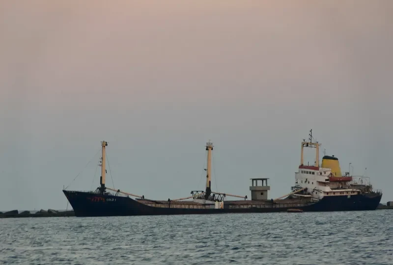 GOLD I General Cargo IMO 6611629 photo 5