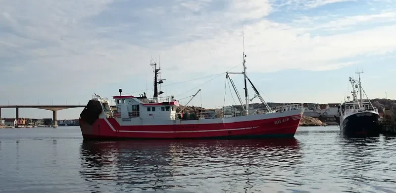 SIGNET General Cargo IMO 6612178 photo 2