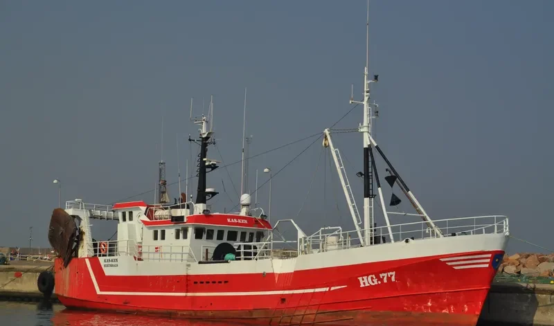 SIGNET General Cargo IMO 6612178 photo 4