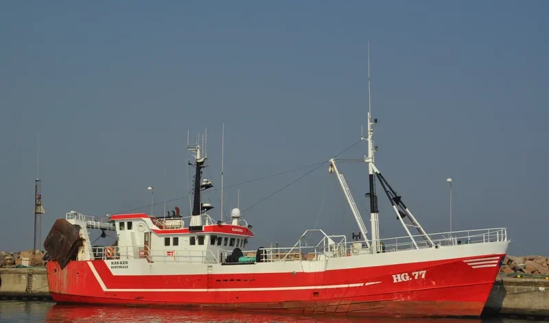 SIGNET General Cargo IMO 6612178 photo 5