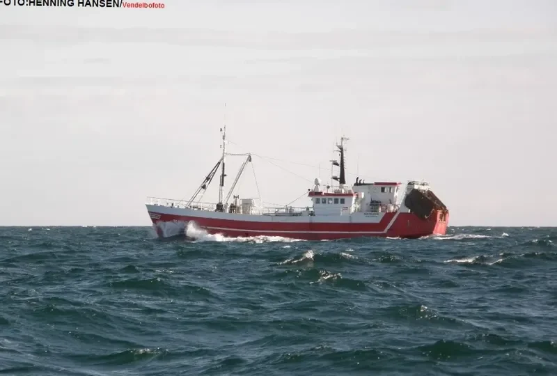 SIGNET General Cargo IMO 6612178 photo 6