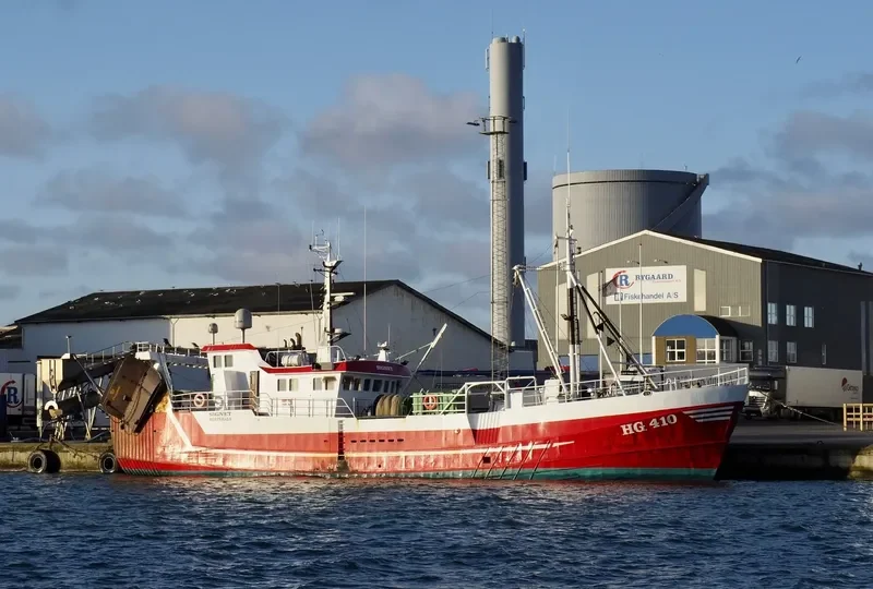 SIGNET General Cargo IMO 6612178 photo 7