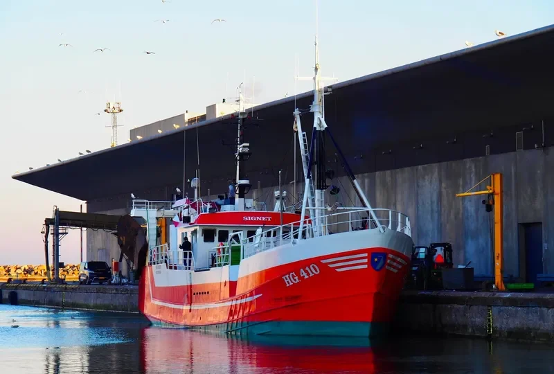 SIGNET General Cargo IMO 6612178 photo 9