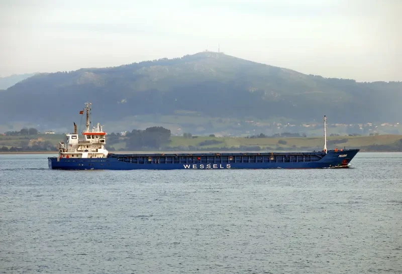 PELEUS General Cargo IMO 6612312 photo 3
