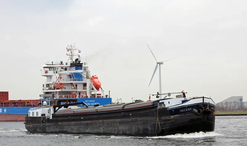 ROXANA Bulk Carrier IMO 6612439 photo 5
