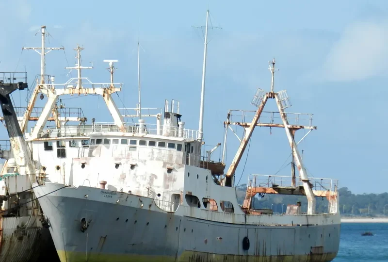 PRAIA DA ERICEIRA General Cargo IMO 6613249