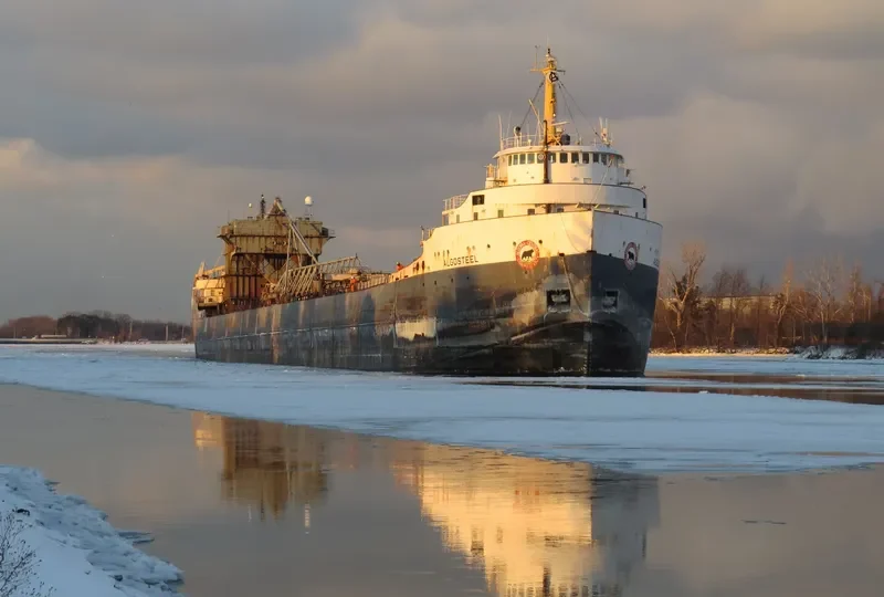 ALGOSTEEL Bulk Carrier IMO 6613299