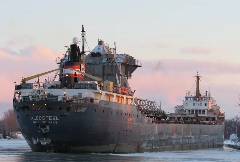 ALGOSTEEL Bulk Carrier IMO 6613299 photo 2