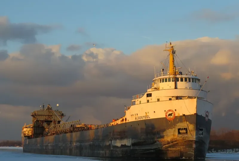 ALGOSTEEL Bulk Carrier IMO 6613299 photo 3