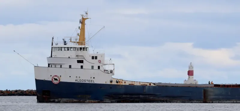 ALGOSTEEL Bulk Carrier IMO 6613299 photo 4