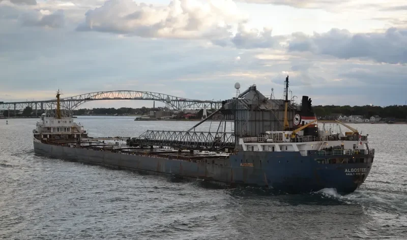 ALGOSTEEL Bulk Carrier IMO 6613299 photo 6