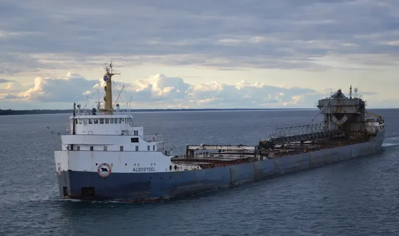 ALGOSTEEL Bulk Carrier IMO 6613299 photo 7