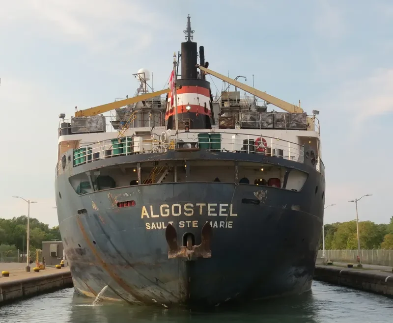 ALGOSTEEL Bulk Carrier IMO 6613299 photo 9