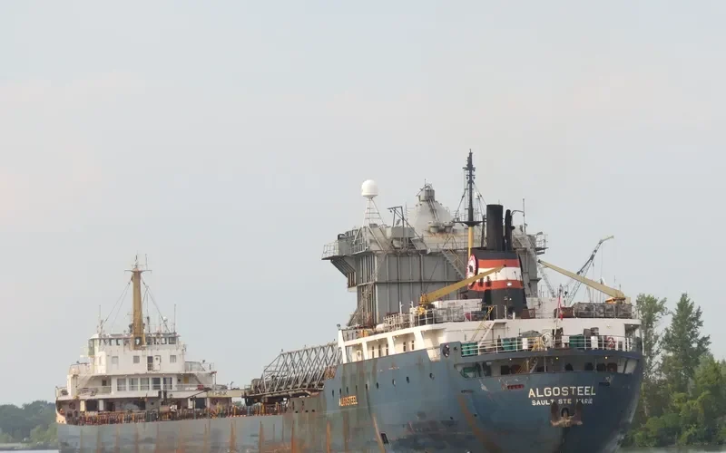 ALGOSTEEL Bulk Carrier IMO 6613299 photo 10