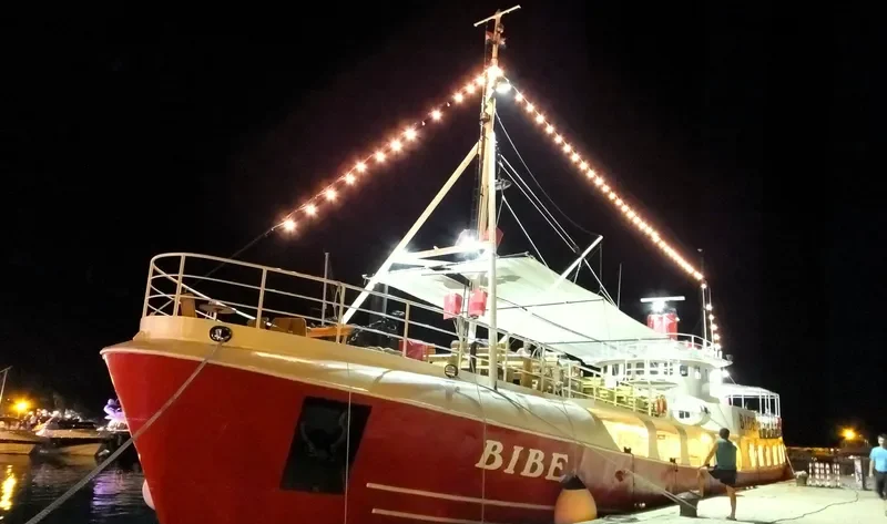 BIBE General Cargo IMO 6613598 photo 3