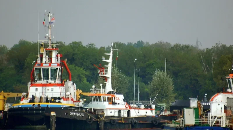 GEMINUS General Cargo IMO 6613926 photo 3