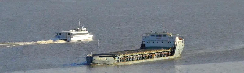 TREVO SUDESTE General Cargo IMO 6616710