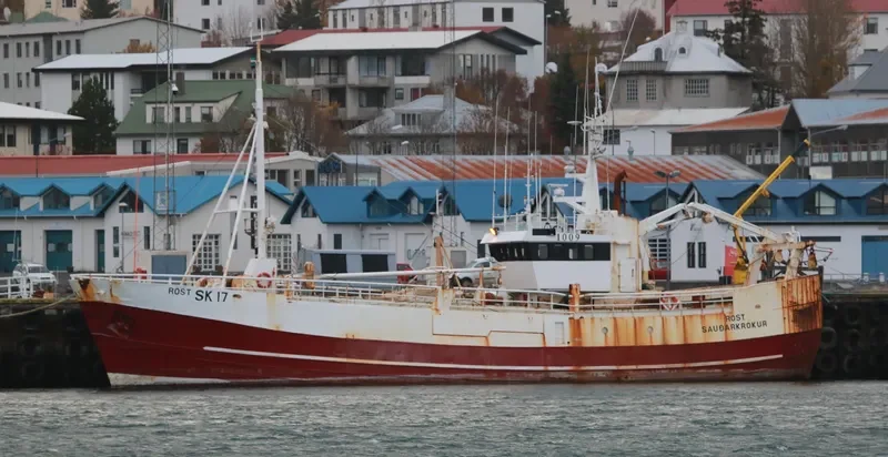 ROST General Cargo IMO 6616734