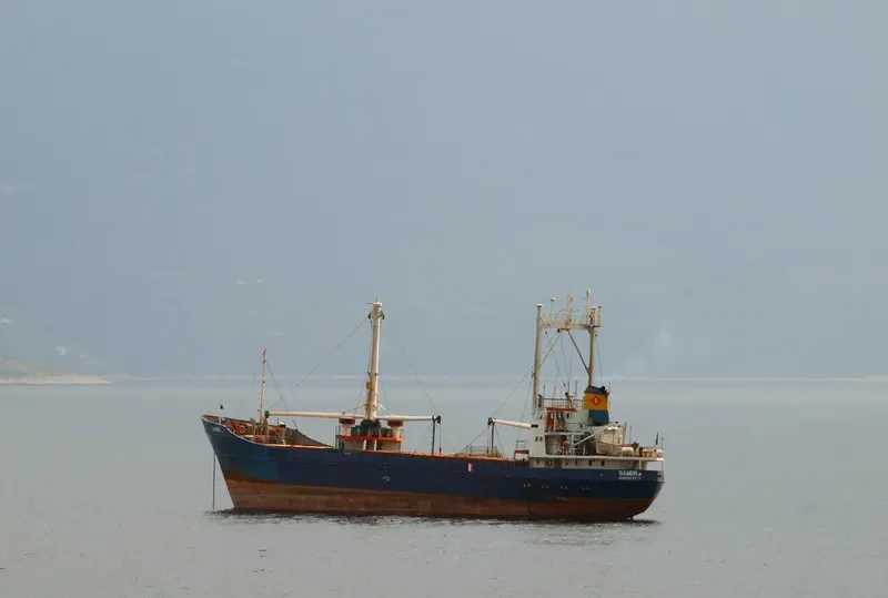 SAMER M General Cargo IMO 6616928 photo 5