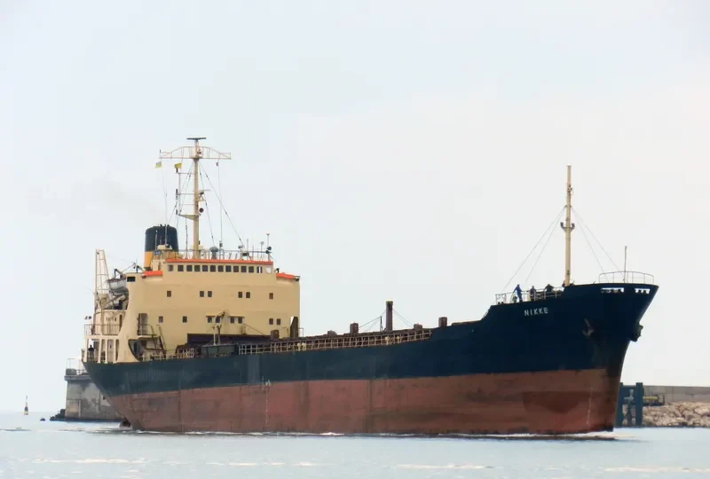 NIKKE General Cargo IMO 6619712 photo 3