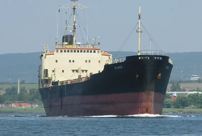 NIKKE General Cargo IMO 6619712 photo 7
