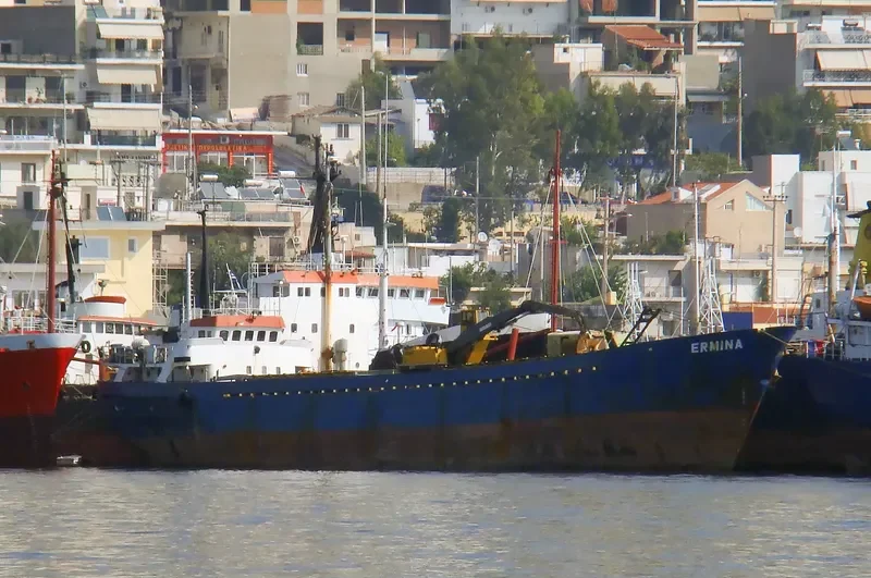 ERMINA General Cargo IMO 6620228