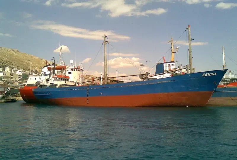 ERMINA General Cargo IMO 6620228 photo 6