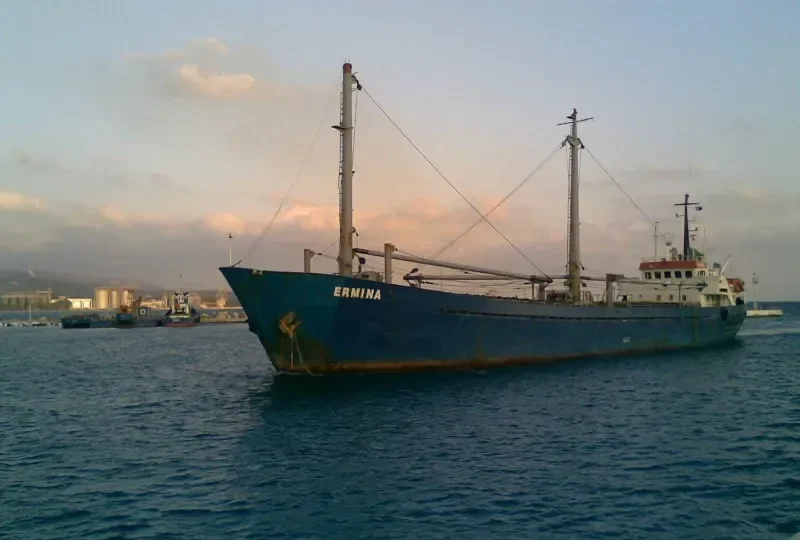 ERMINA General Cargo IMO 6620228 photo 7