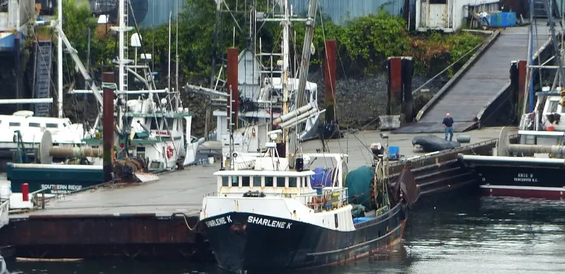 SHARLENE K. General Cargo IMO 6621648