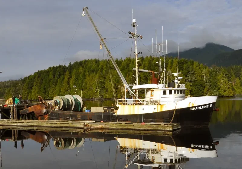 SHARLENE K. General Cargo IMO 6621648 photo 5
